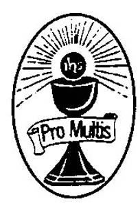 Pro Multis Logo