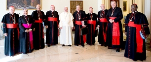 Executive Committee of Newcardinals