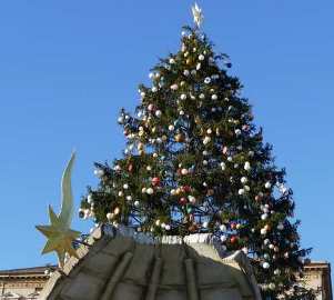 Francis-Bergoglios's Christmas Tree