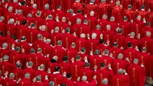 Newcardinals